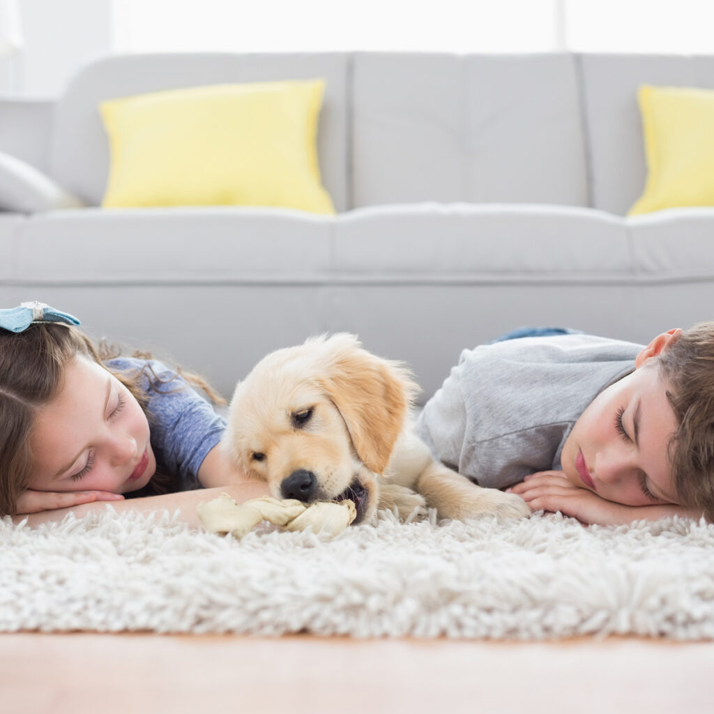 children and dog laying on a clean rug