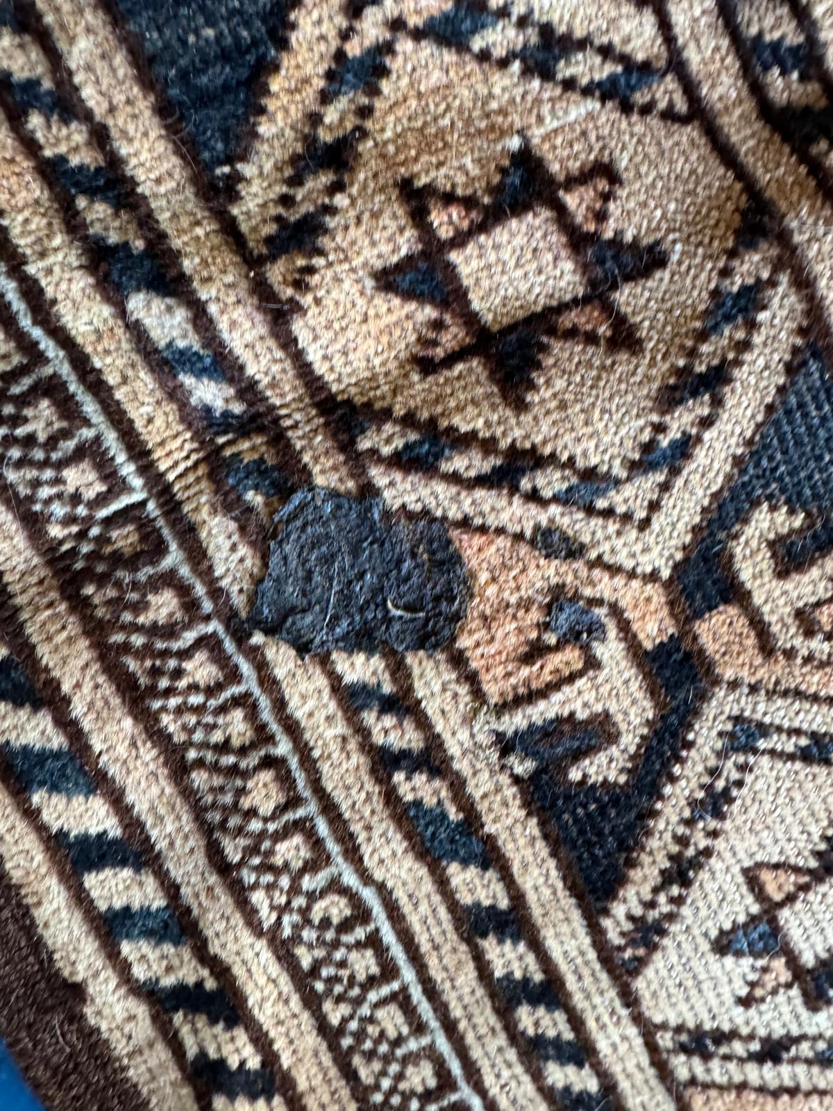 ABC Rug and Carpet Cleaning pet stains and odor removal (2)