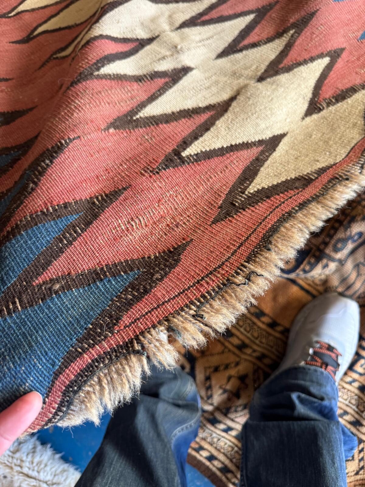 ABC Rug and Carpet Cleaning pet stains and odor removal (4)