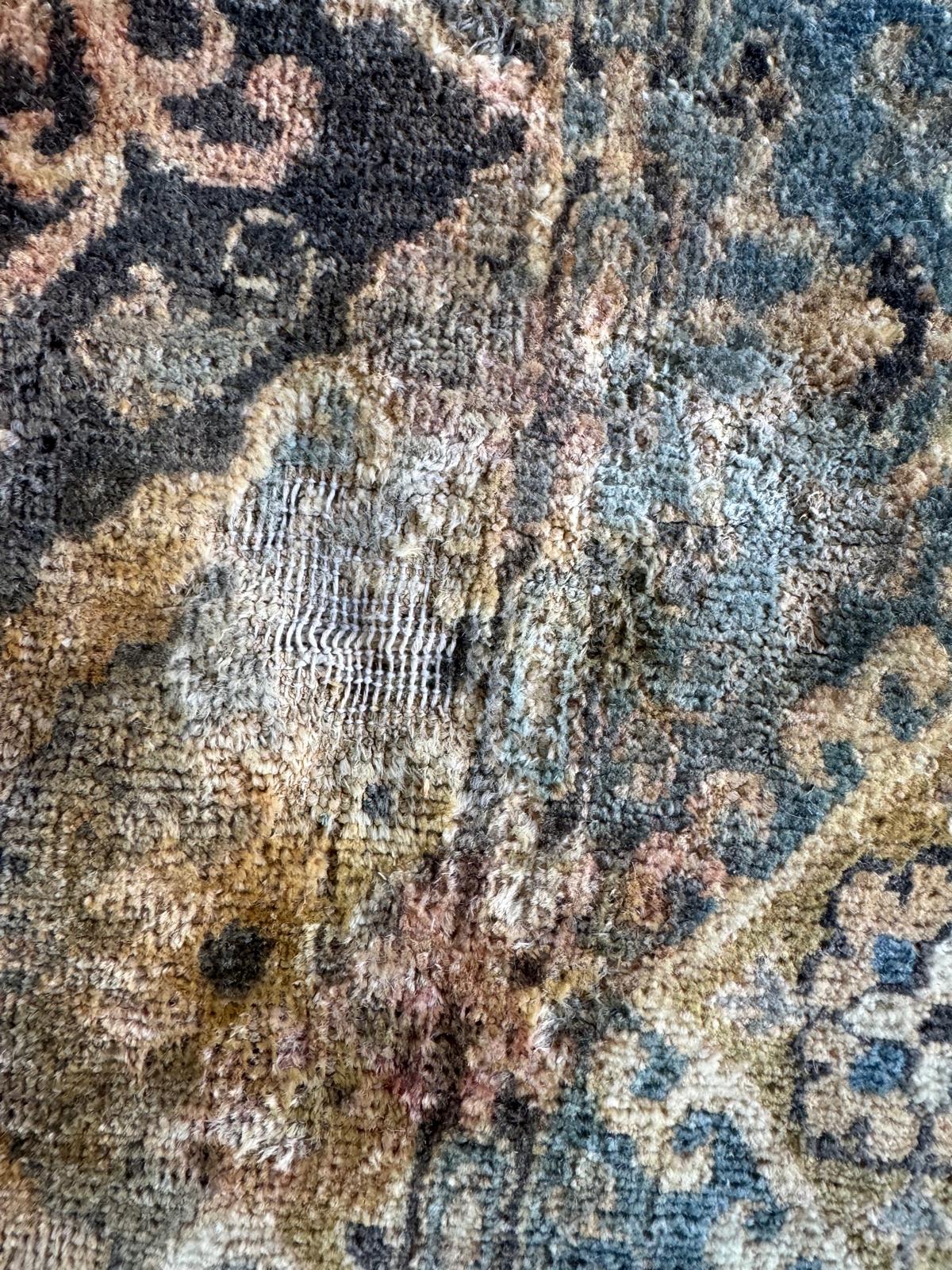 ABC Rug and Carpet Cleaning pet stains and odor removal (7)